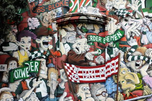 C罗迎来二十赛季高光表现，塞尔维亚队球迷沸腾！